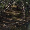 Bush Swamp, Australia